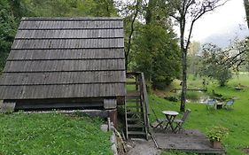 Glamping Zlata Ribica
